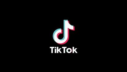TikTok - 网页版